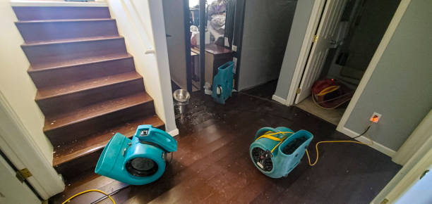 Best Flood damage cleanup  in Corona, CA