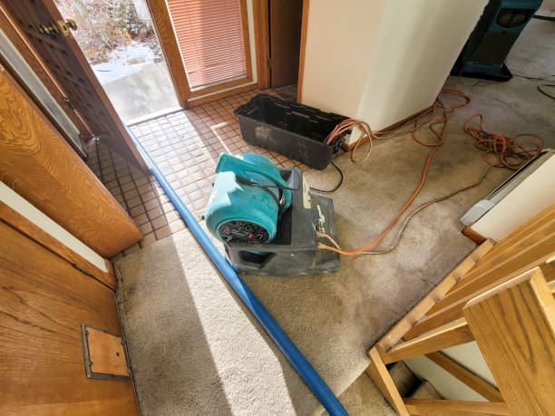 Best Water damage restoration near me  in Corona, CA